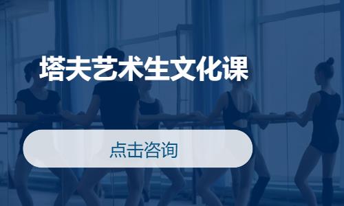 塔夫艺术生文化课