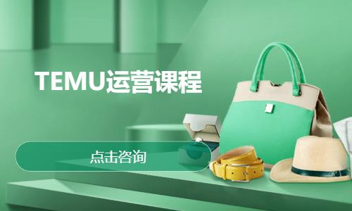 TEMU运营课程