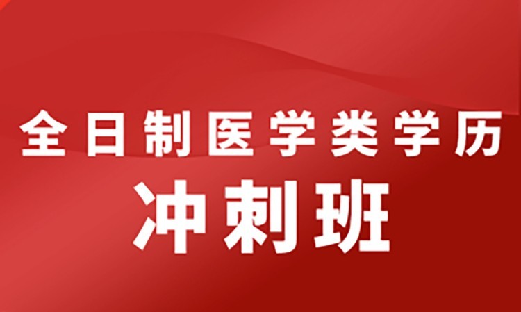 全日制医学类学历冲刺班