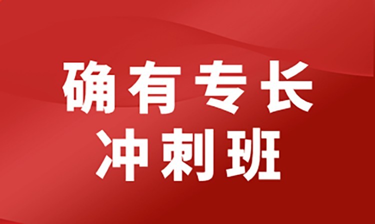 确有专长冲刺班