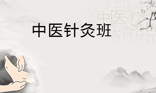 中医针灸班