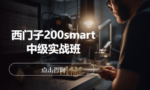 西门子200smart中级实战班