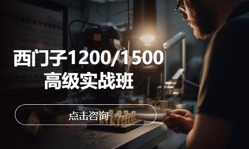 西门子1200/1500高级实战班