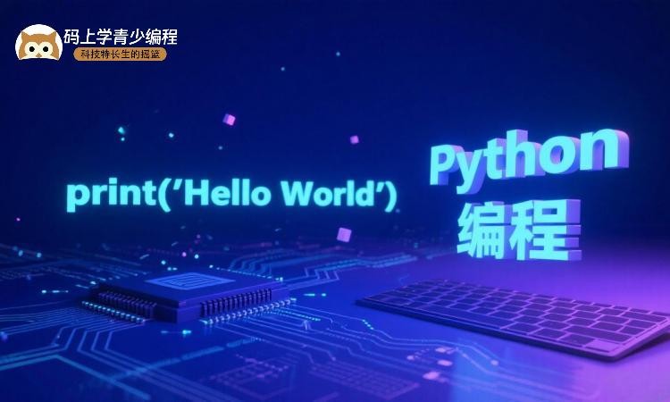 Python基础语法直播课