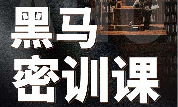 黑马密训课
