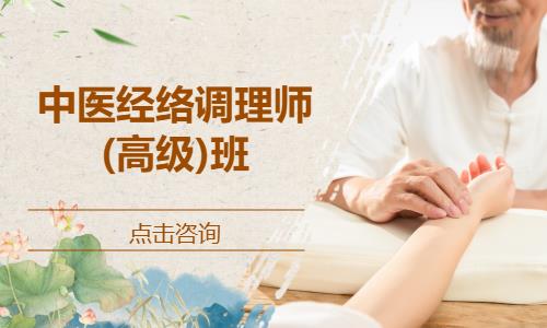 中医经络调理师(高级)班