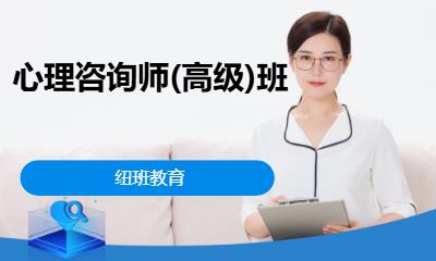 心理咨询师(高级)班