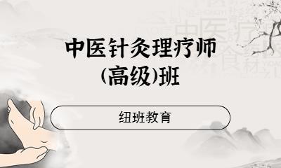 中医针灸理疗师(高级)班