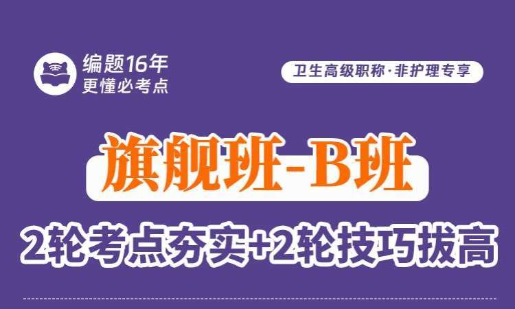 卫生高级职称·非护理专享旗舰班-B班