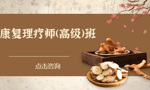 康复理疗师(高级)班