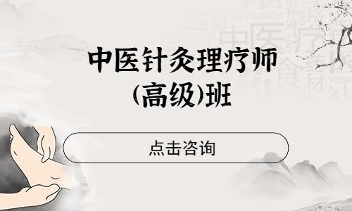 中医针灸理疗师(高级)班