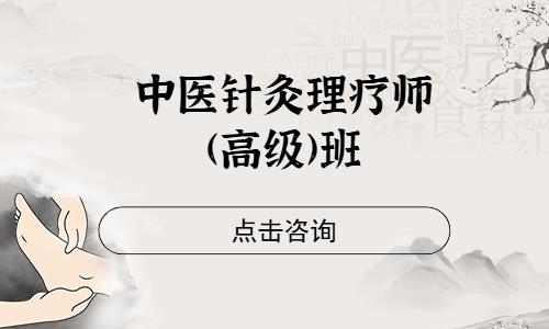 中医针灸理疗师(高级)班