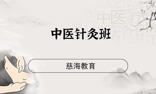 中医针灸班