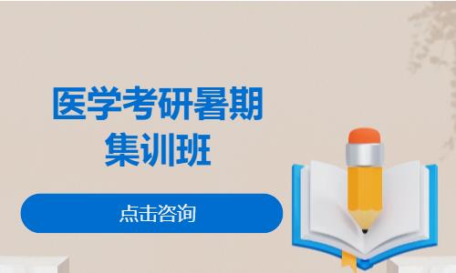 医学考研暑期集训班