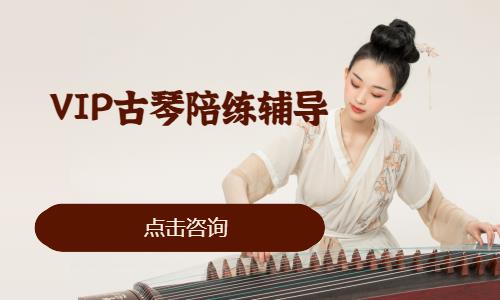 济南学弹古琴