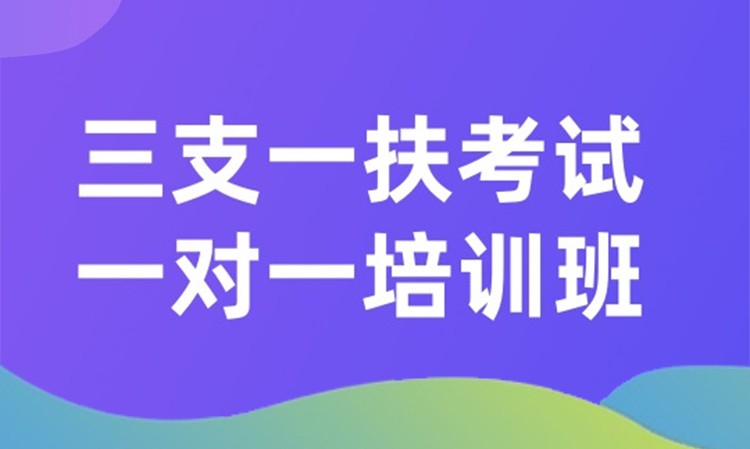 三支一扶考试一对一培训班