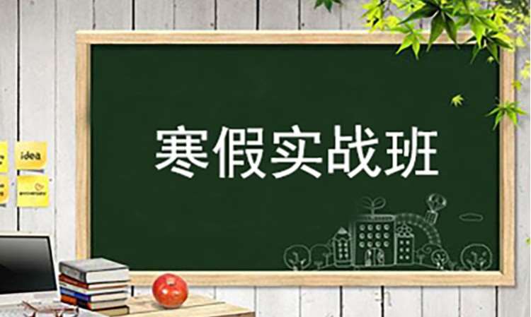 专升本寒假实战班