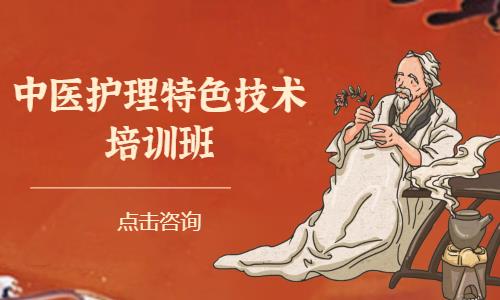 中医护理特色技术培训班