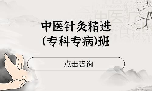 中医针灸精进（专科专病）班