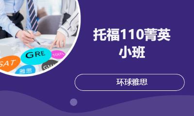托福110菁英小班