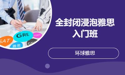 全封闭浸泡雅思入门班