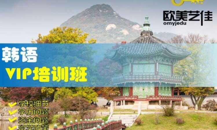 韩语VIP培训班