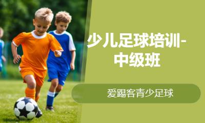 少儿足球培训-中级班