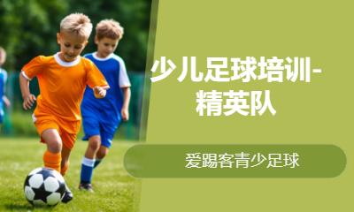 少儿足球培训-精英队