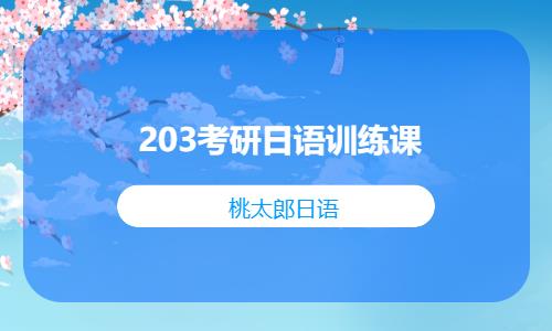 203考研日语训练课