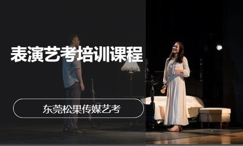 表演艺考培训课程