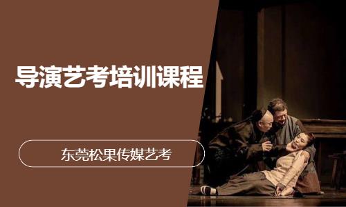 导演艺考培训课程