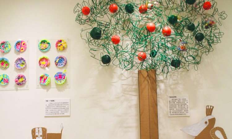 学校环境
