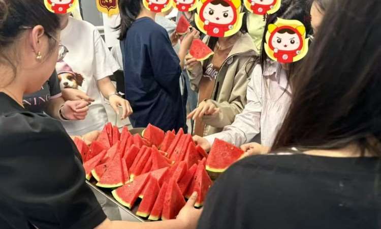 活动
