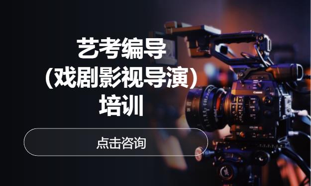 天津高考编导考前培训班
