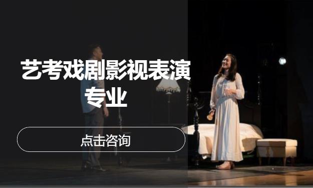 天津表演艺考培训机构