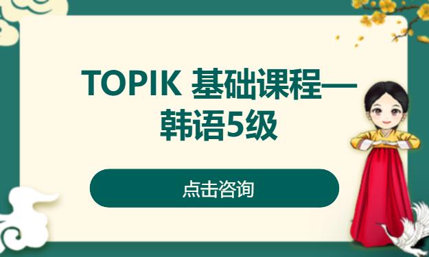 TOPIK 基础课程—韩语5级
