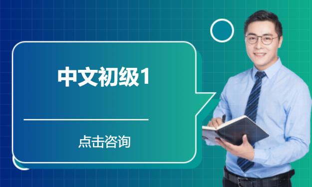中文初级1