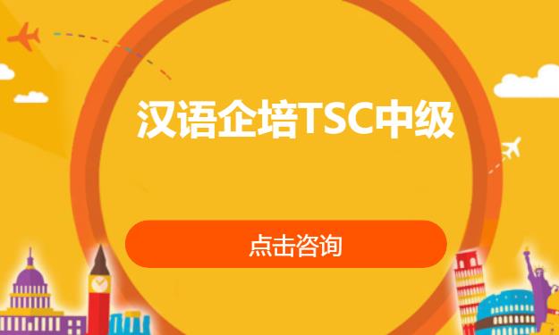 汉语企培TSC中级
