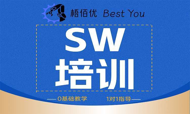 SW培训