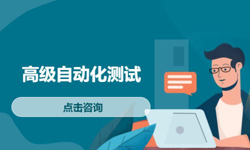 高级自动化测试