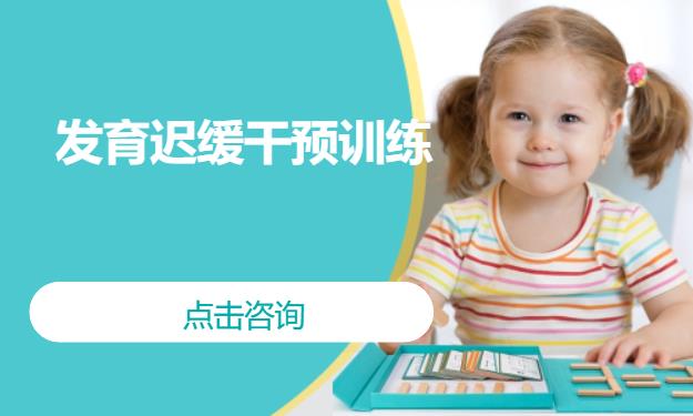 发育迟缓干预训练