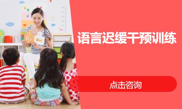 语言迟缓干预训练