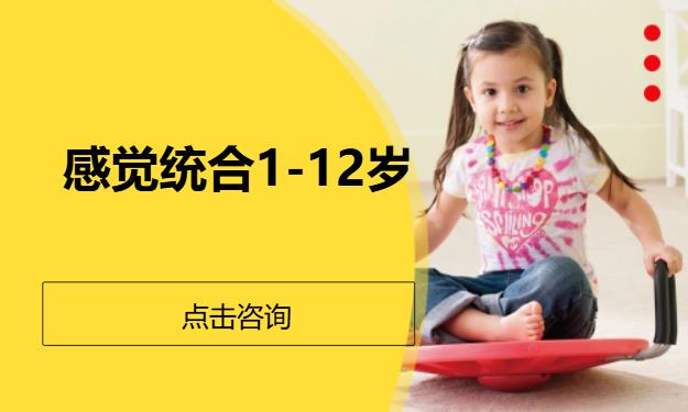 感觉统合1-12岁