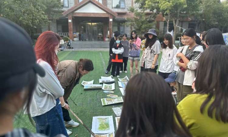 写生点评