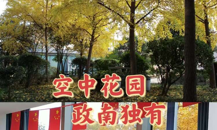 风景