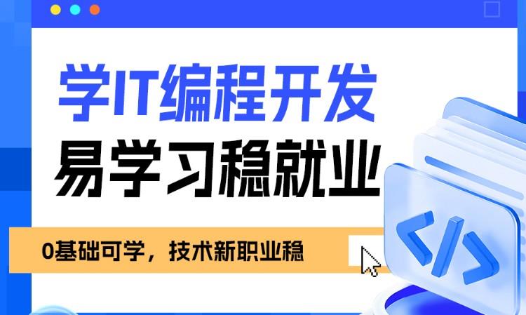 IT编程