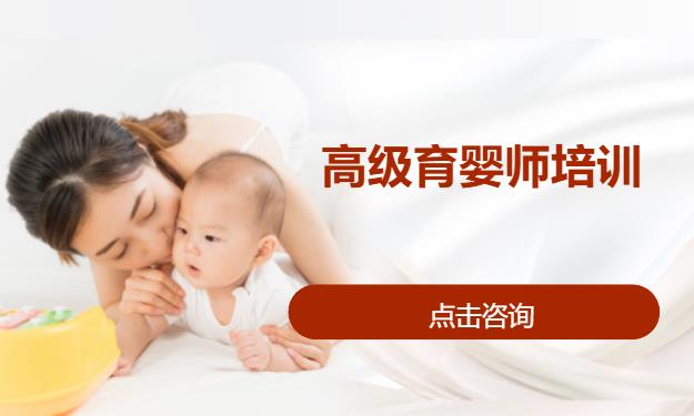 高级育婴师培训