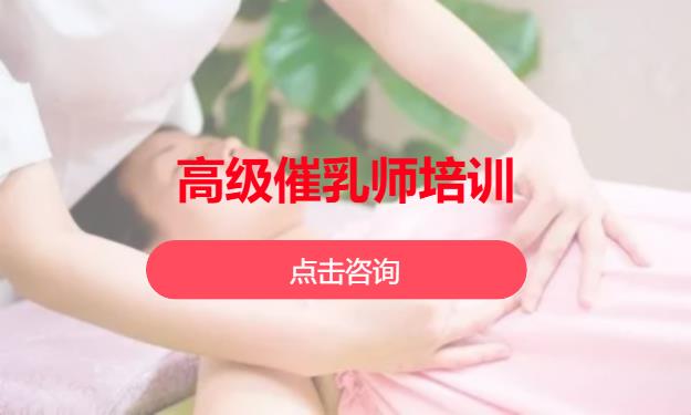 高级催乳师培训