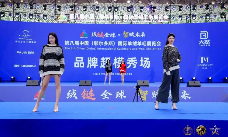 活动照片