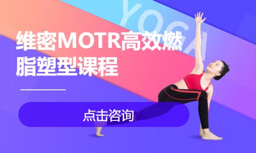 维密MOTR高效燃脂塑型课程